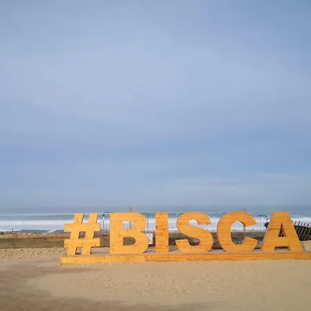 Appartement Front De 4 Personnes *