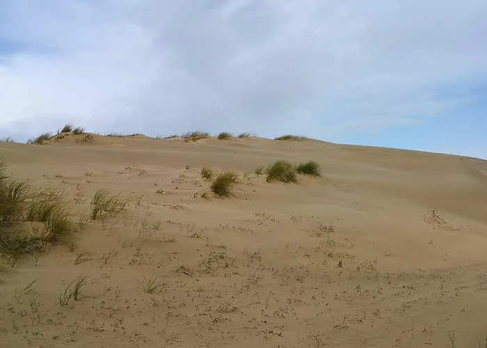 Apartman Front De 4 Personnes *